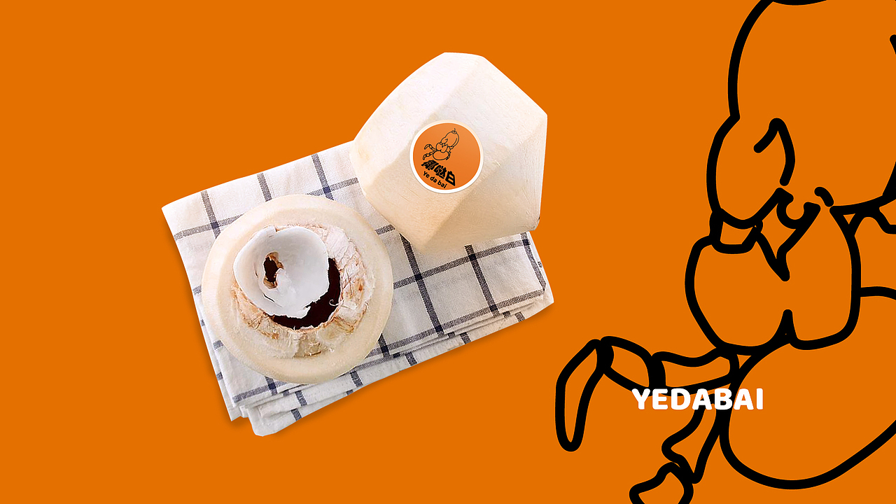 椰哒白品牌logo设计提案（图ZMTk3NTM0ODUy） - 品牌 - 站酷设计师毕九良原创素材 - 站酷ZCOOL