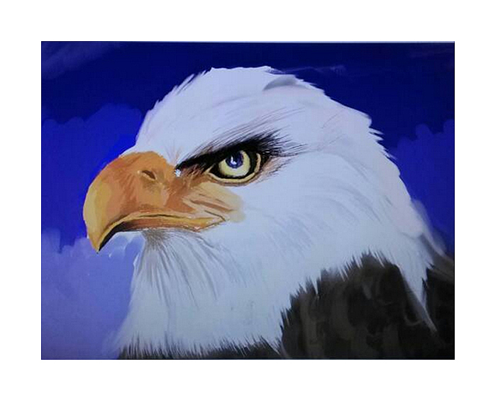 学生时期课堂练习（图ZODE2ODIyNTI=） - 其他 - 站酷设计师monsterEva原创素材 - 站酷ZCOOL