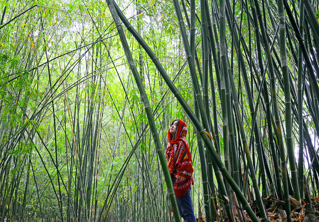 摄影练习～人像摄影（图ZOTIzMTA2MjQ=） - 人像摄影 - 站酷设计师是知知吖原创素材 - 站酷ZCOOL