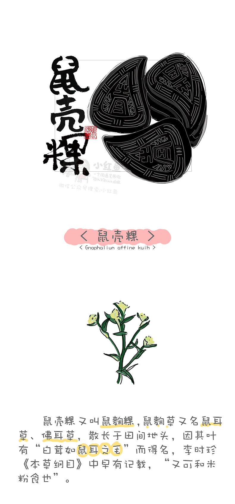 潮汕姑娘小红鱼原创手绘插画 潮汕文化 鼠壳粿