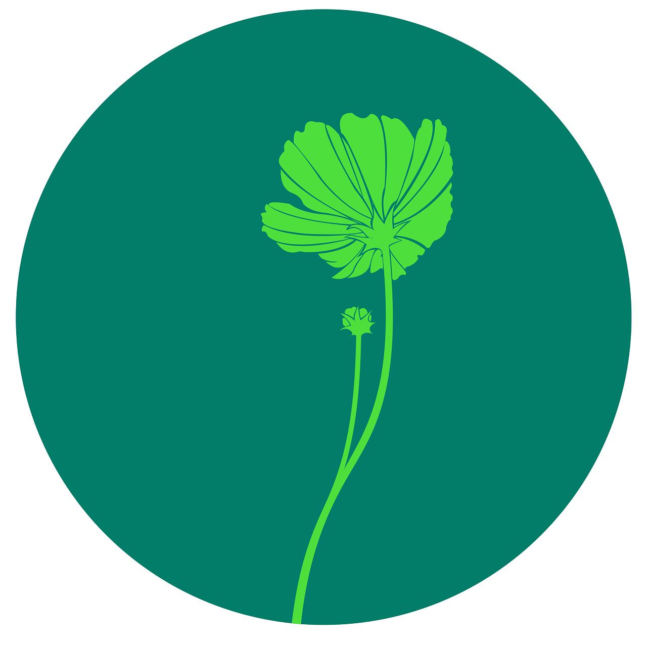 植物图标 原创作品 站酷 Zcool