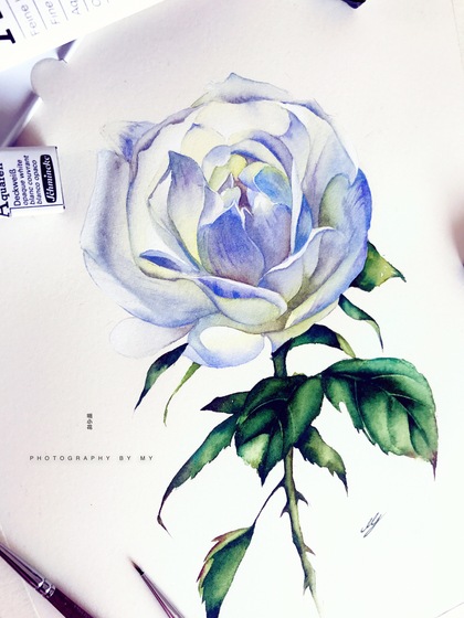 那些花儿——水彩花卉