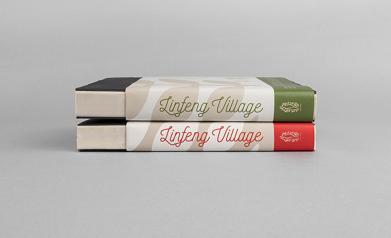 我为村里做设计