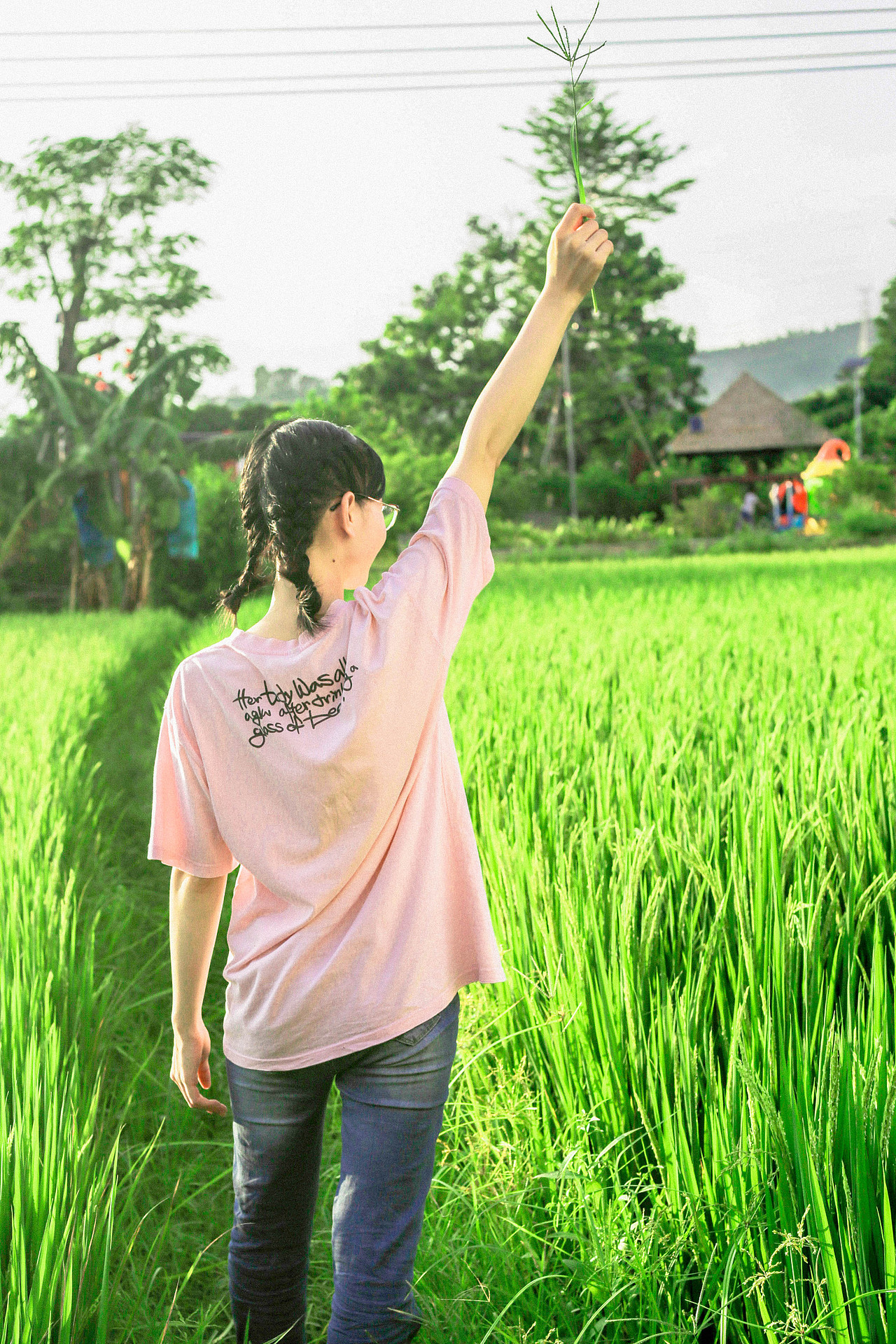 夏天的尾巴-云云