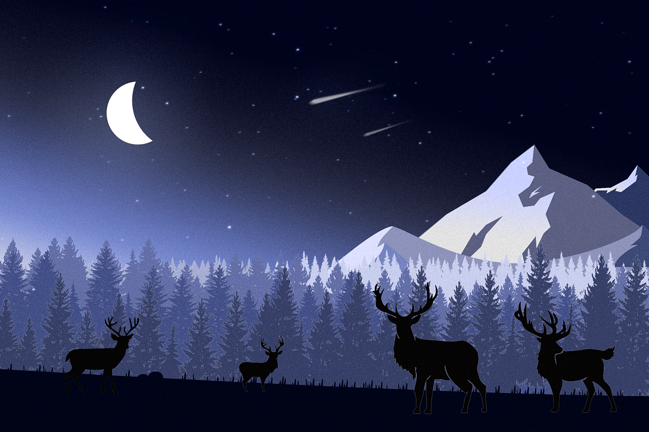 夜空鹿|插画|创作习作|不改的网名 - 原创作品 - 站酷 (zcool)