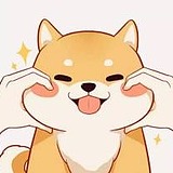 黄柴的头像