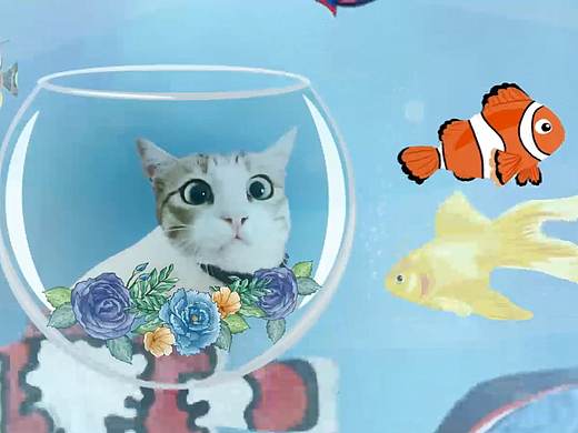 2020年第一次视频创作练习——猫咪TWINKLE的第二世界