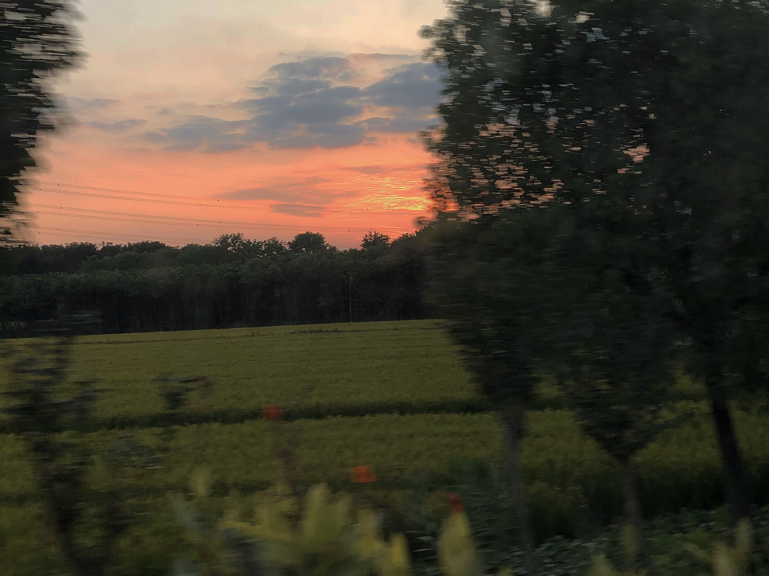 西山叶藏的个人主页（封面预览） - 主页封面设置 - 站酷设计师西山叶藏原创素材 - 站酷ZCOOL