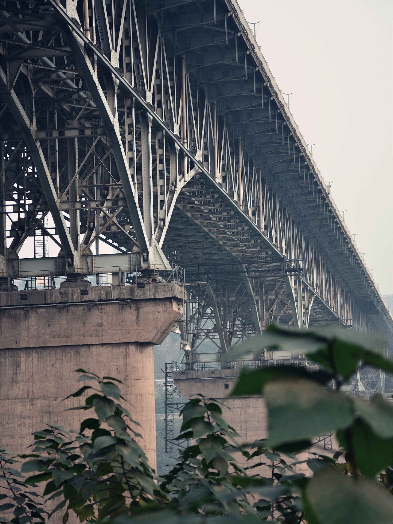 许多桥梁中的一座