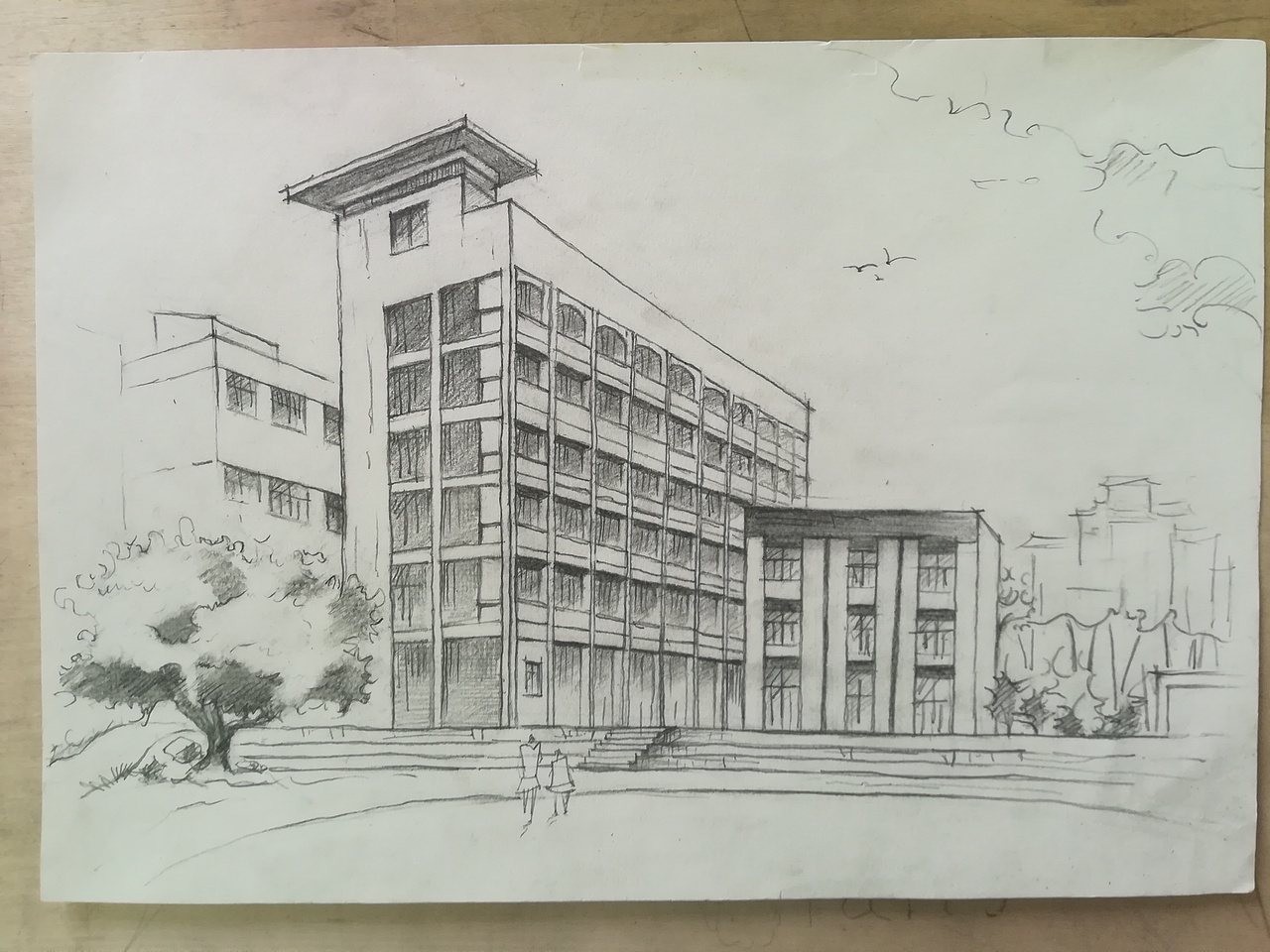 风景速写校园写生