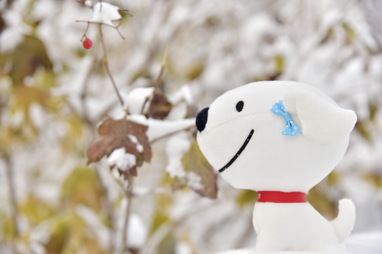 小京东带你玩北城