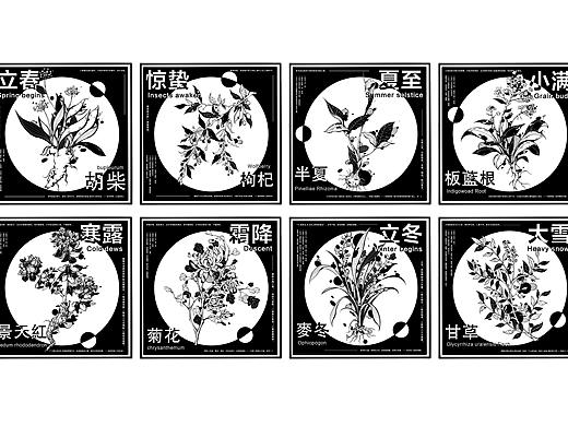 【二十四节气】插画设计
