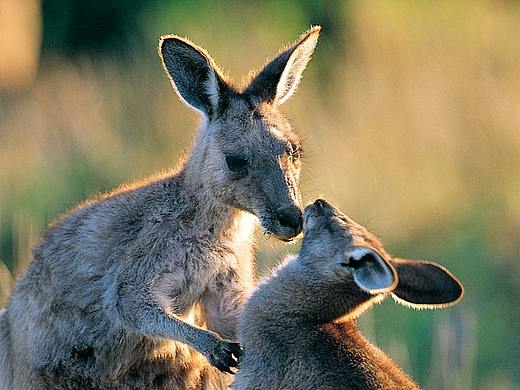 logo設(shè)計(jì)展示（個(gè)人主頁(yè)-ZMjQ4ODAyODA=） - 品牌 - 站酷設(shè)計(jì)師死水微瀾fei原創(chuàng)素材 - 站酷ZCOOL