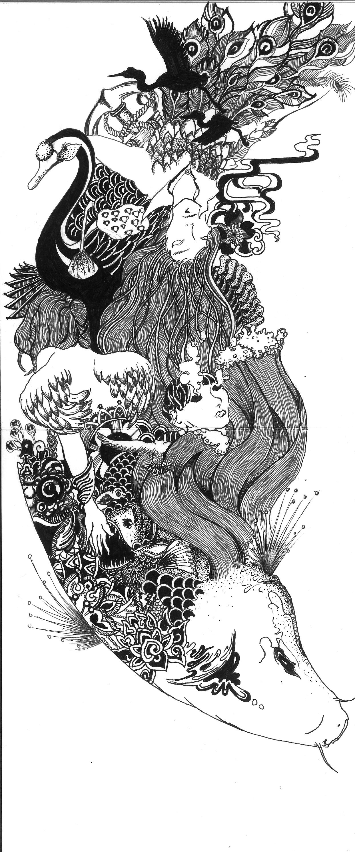 邹邹安 ——大学映射——手绘 黑白 插画 创意 中国风