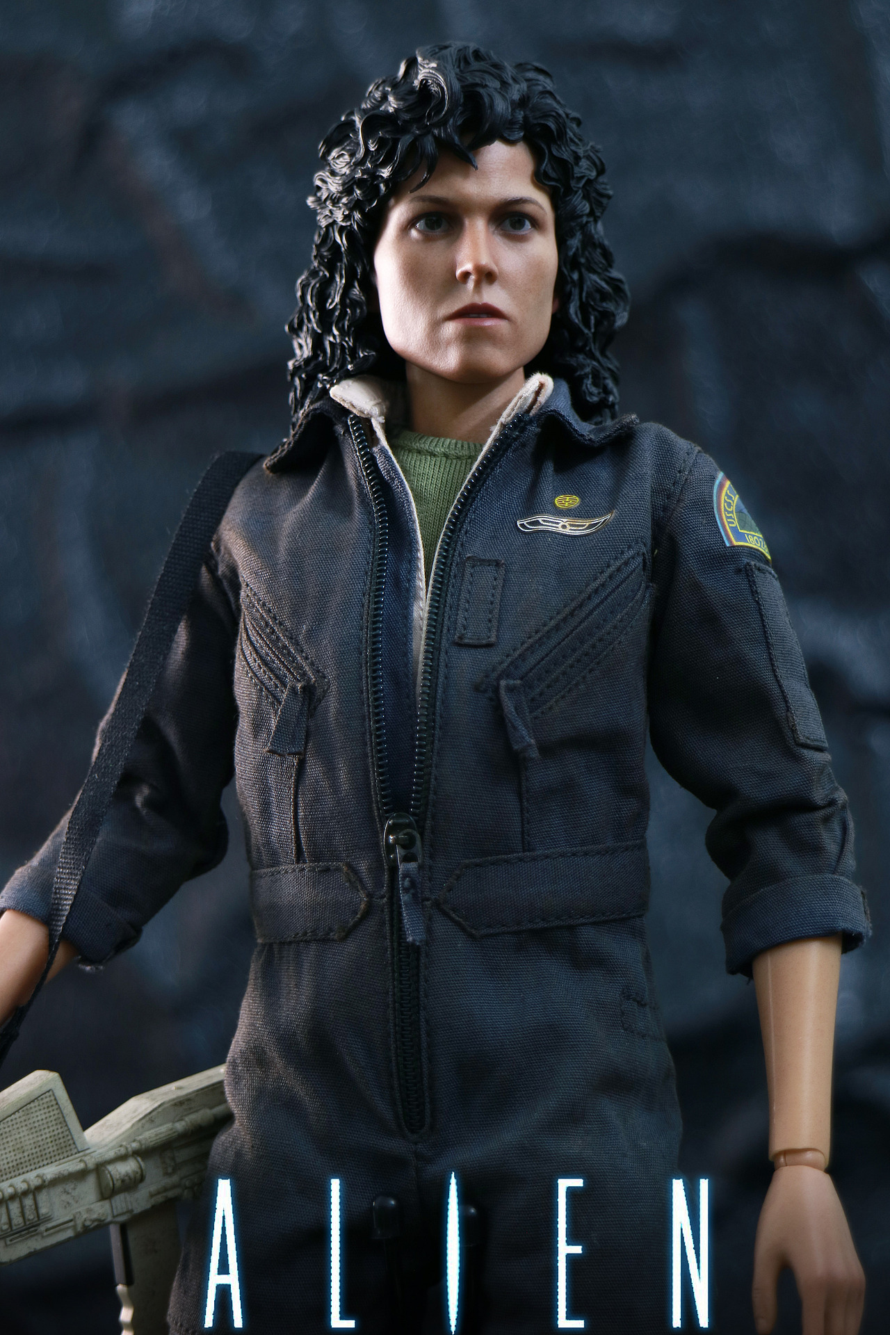 hottoys异形瑞普利