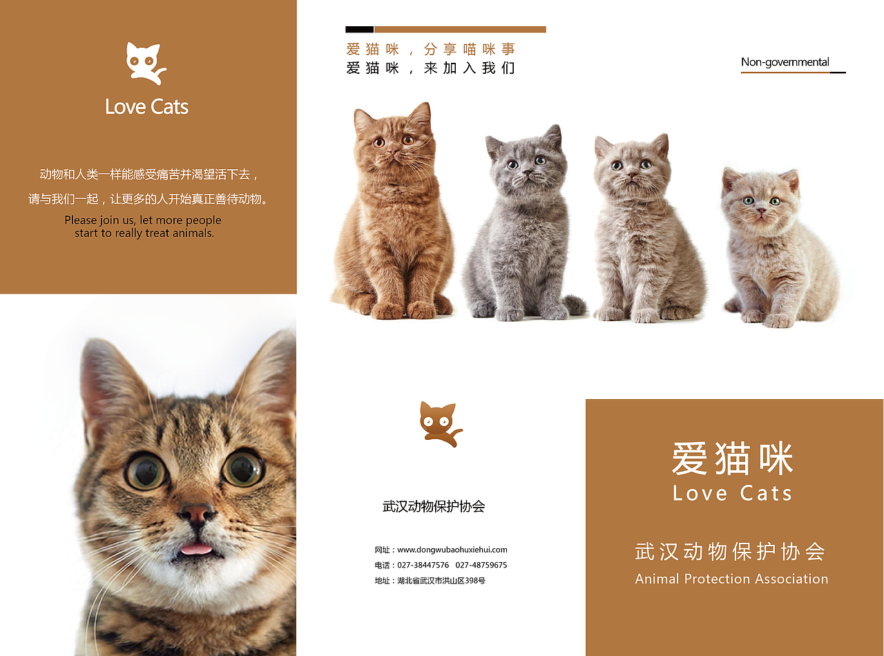 三折页展示（图ZOTI1MTQ4ODA=） - 宣传物料 - 站酷设计师sozozo原创素材 - 站酷ZCOOL