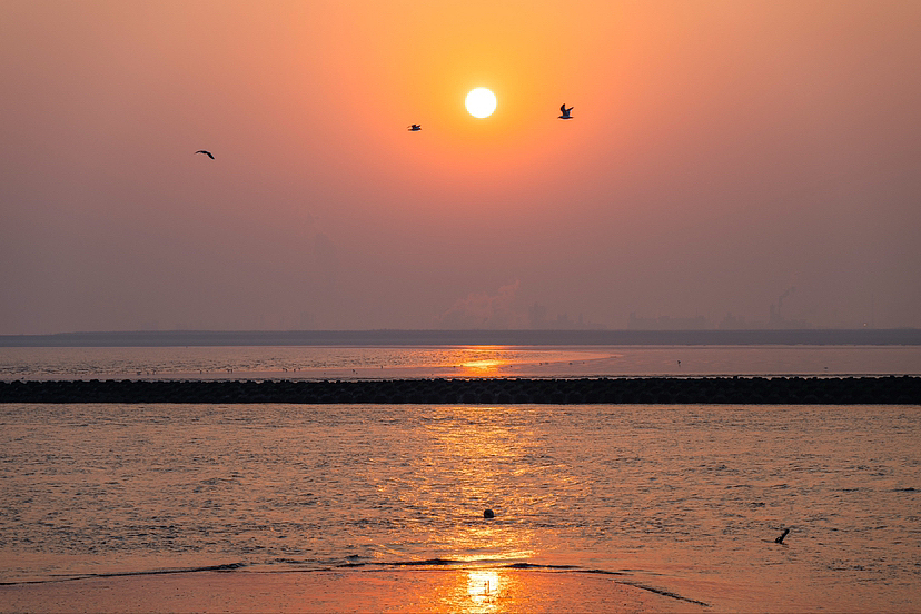 上海崇明碧海金沙（图ZMzYxMDYzNjI0） - 人文/纪实摄影 - 站酷设计师Chris_Photograph原创素材 - 站酷ZCOOL