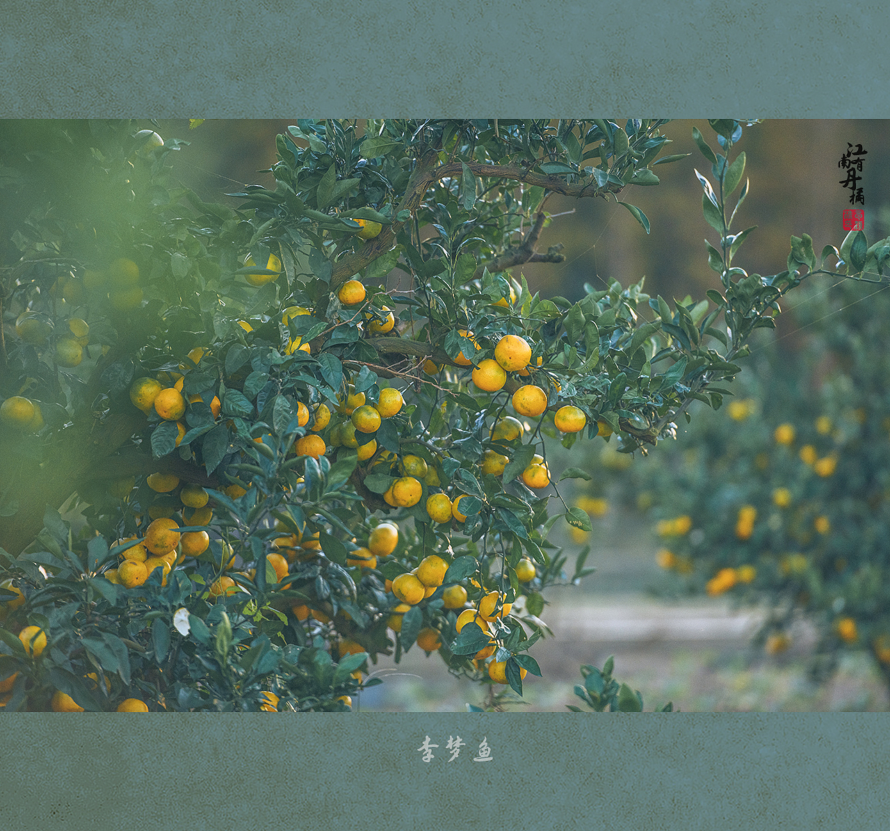 采橘姑娘（图ZMjc2OTczMDcy） - 人像摄影 - 站酷设计师腰果虾仁原创素材 - 站酷ZCOOL
