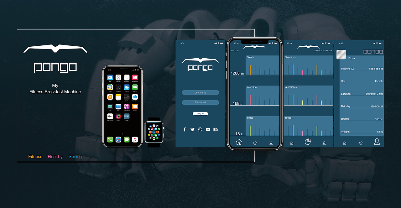 多功能臂力机pongo