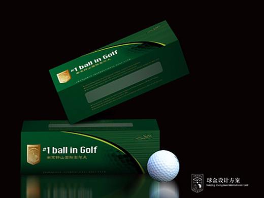 VI视觉设计-钟山国际