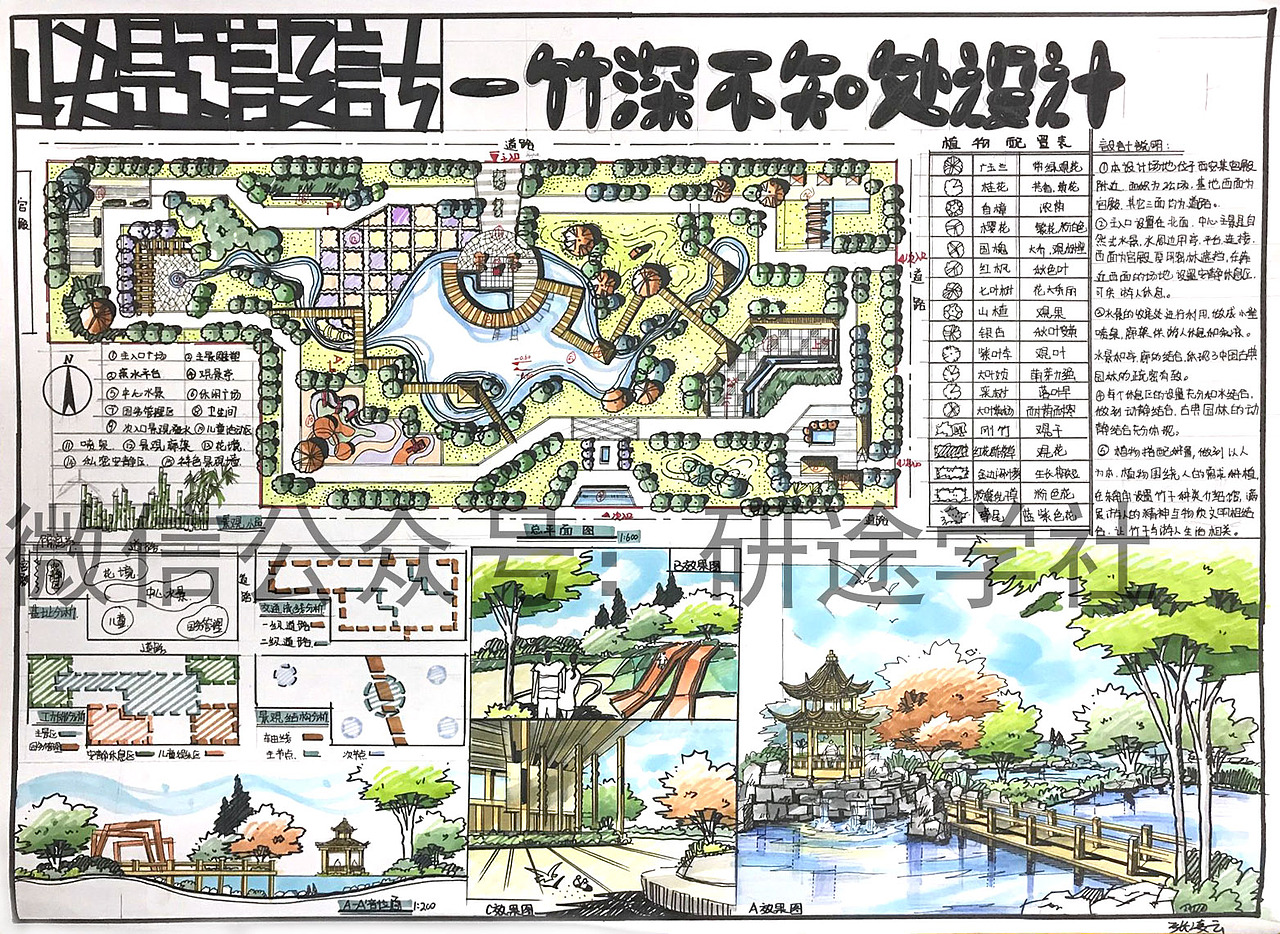 西农风景园林快题