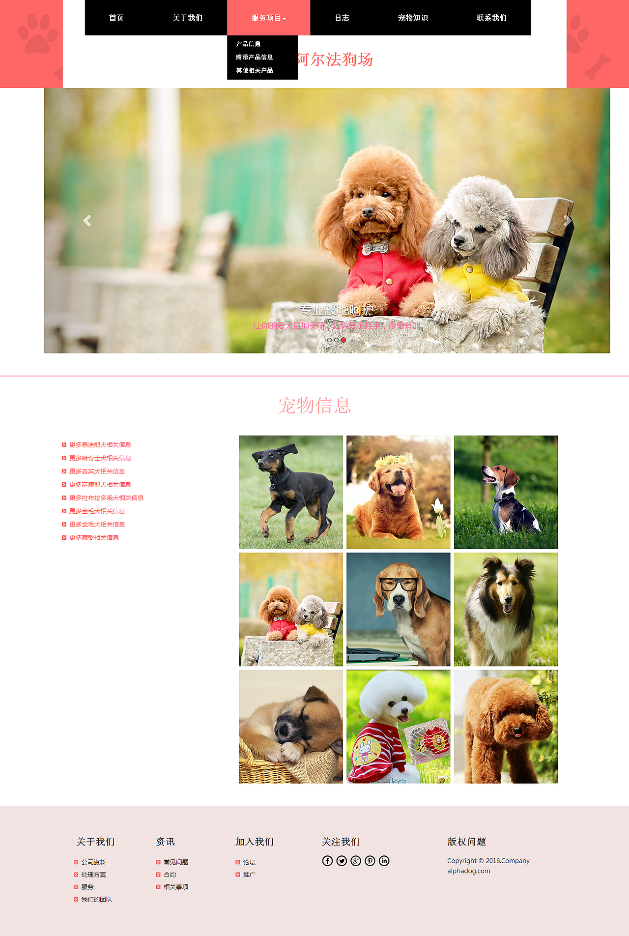 阿爾法狗場網(wǎng)頁設(shè)計（圖ZNDY5MDU3MDA=） - 企業(yè)官網(wǎng) - 站酷設(shè)計師UI悟空原創(chuàng)素材 - 站酷ZCOOL