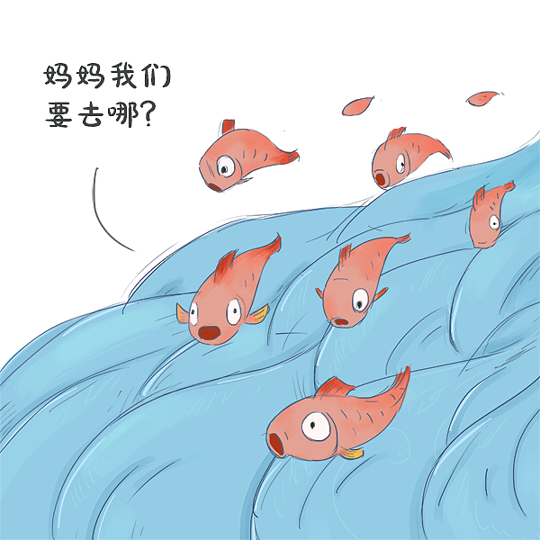 一天到晚游泳的鱼