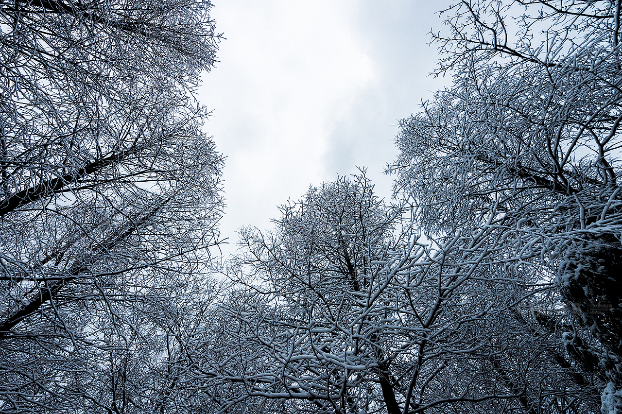 杭州雪景（图ZMTM4Njc1NjEy） - 风光摄影 - 站酷设计师摄影师潘钦锐原创素材 - 站酷ZCOOL