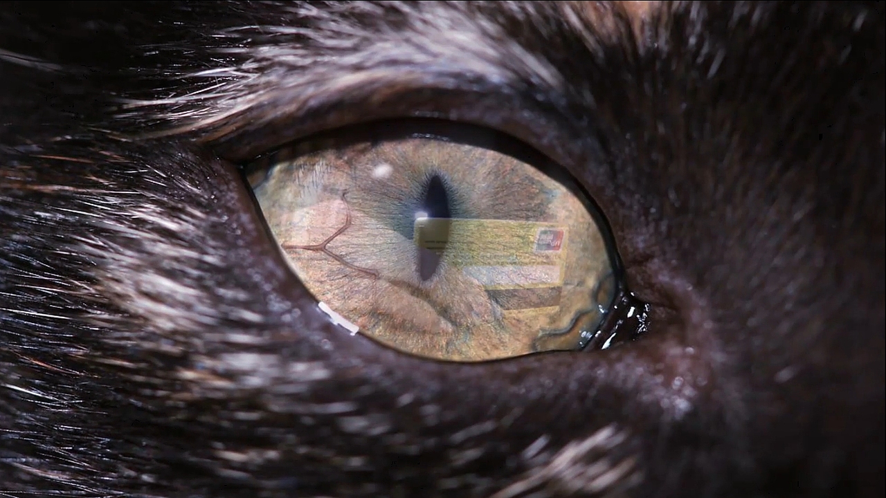 没有买卖就没有杀害