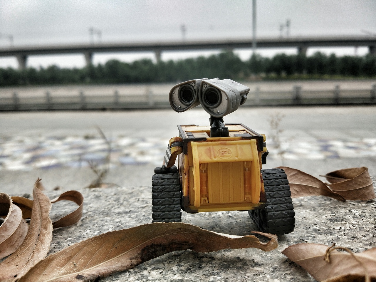 寻找伊娃（图ZNTM0NzQ0ODQ=） - 产品摄影 - 站酷设计师蜗牛大声唱原创素材 - 站酷ZCOOL