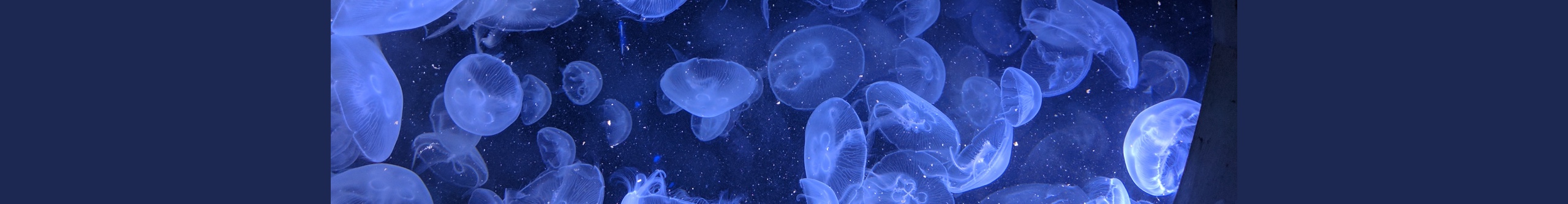 Xbobo_shen的个人主页（封面预览） - 主页封面设置 - 站酷设计师Xbobo_shen原创素材 - 站酷ZCOOL