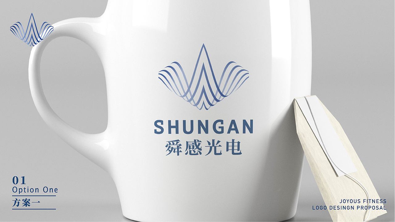 舜感光电LOGO设计