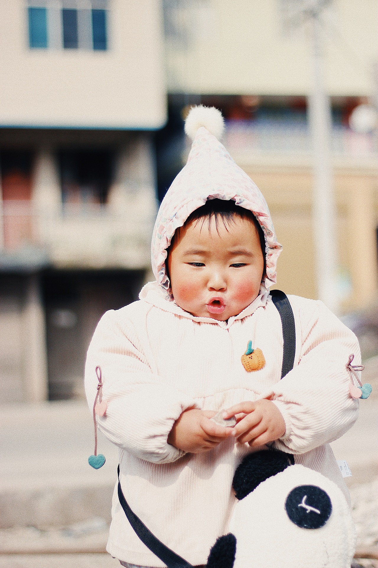 【2020】摄影总结