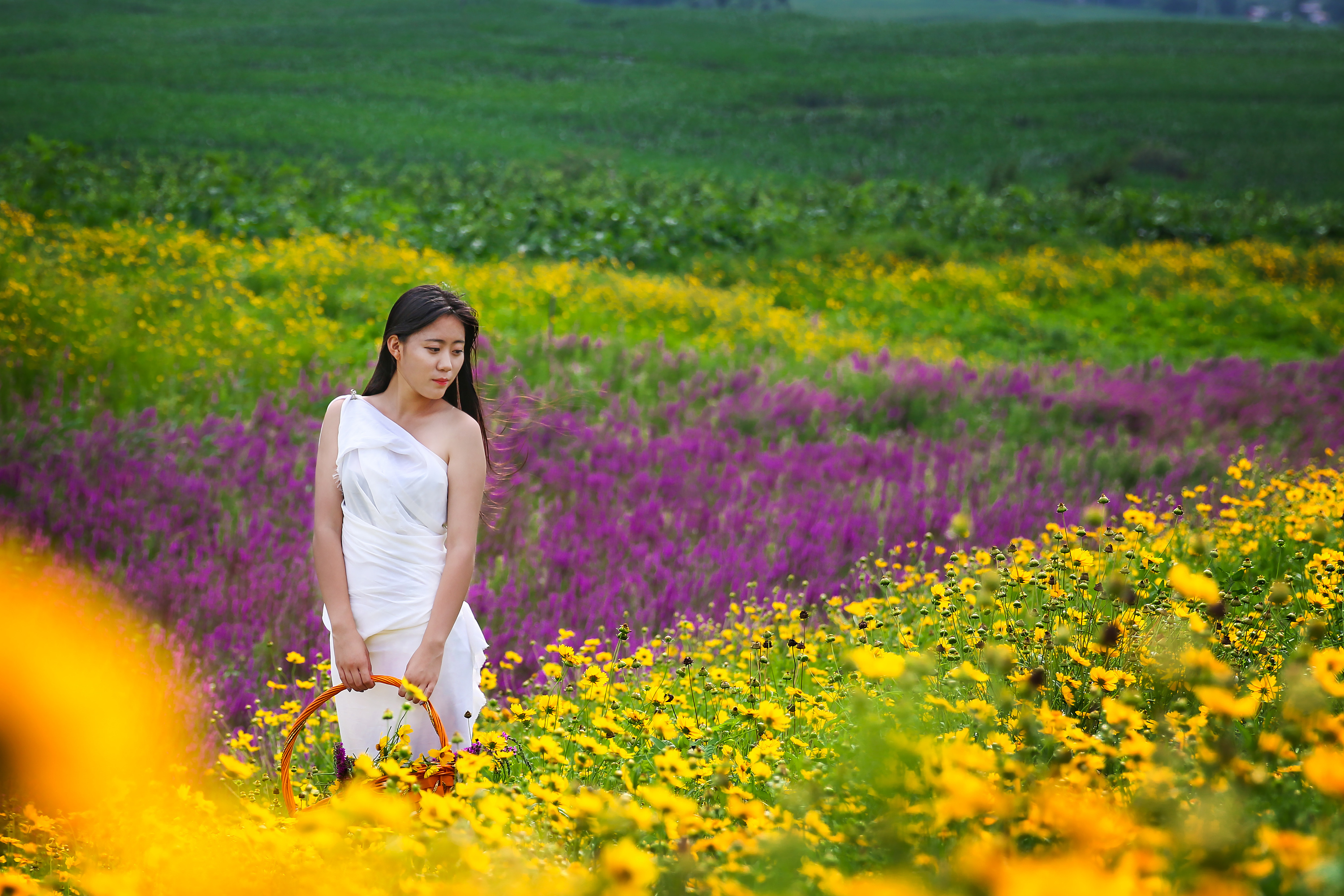 吉林市新文彩一花海!