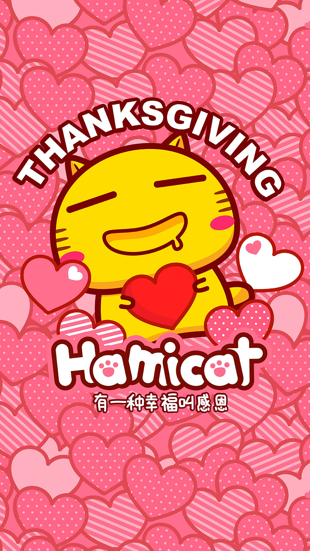 感恩的哈咪猫
