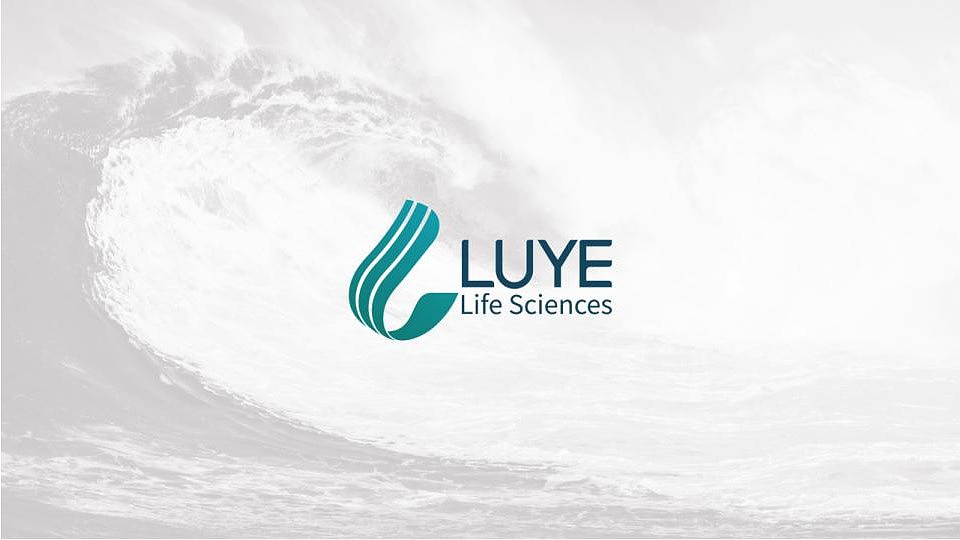 绿叶生命标志修改提案（图ZMjM2MDkwMTcy） - Logo - 站酷设计师许天博原创素材 - 站酷ZCOOL