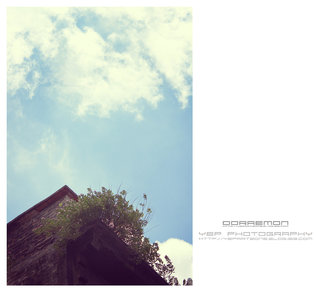 【YBP】随记の西关