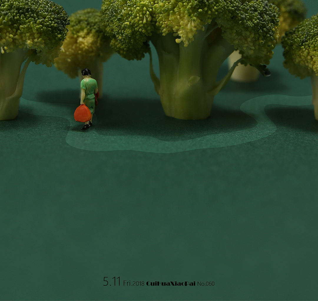 为了不浪费西兰花,还是想办法再拍一下。(走进深林深处)