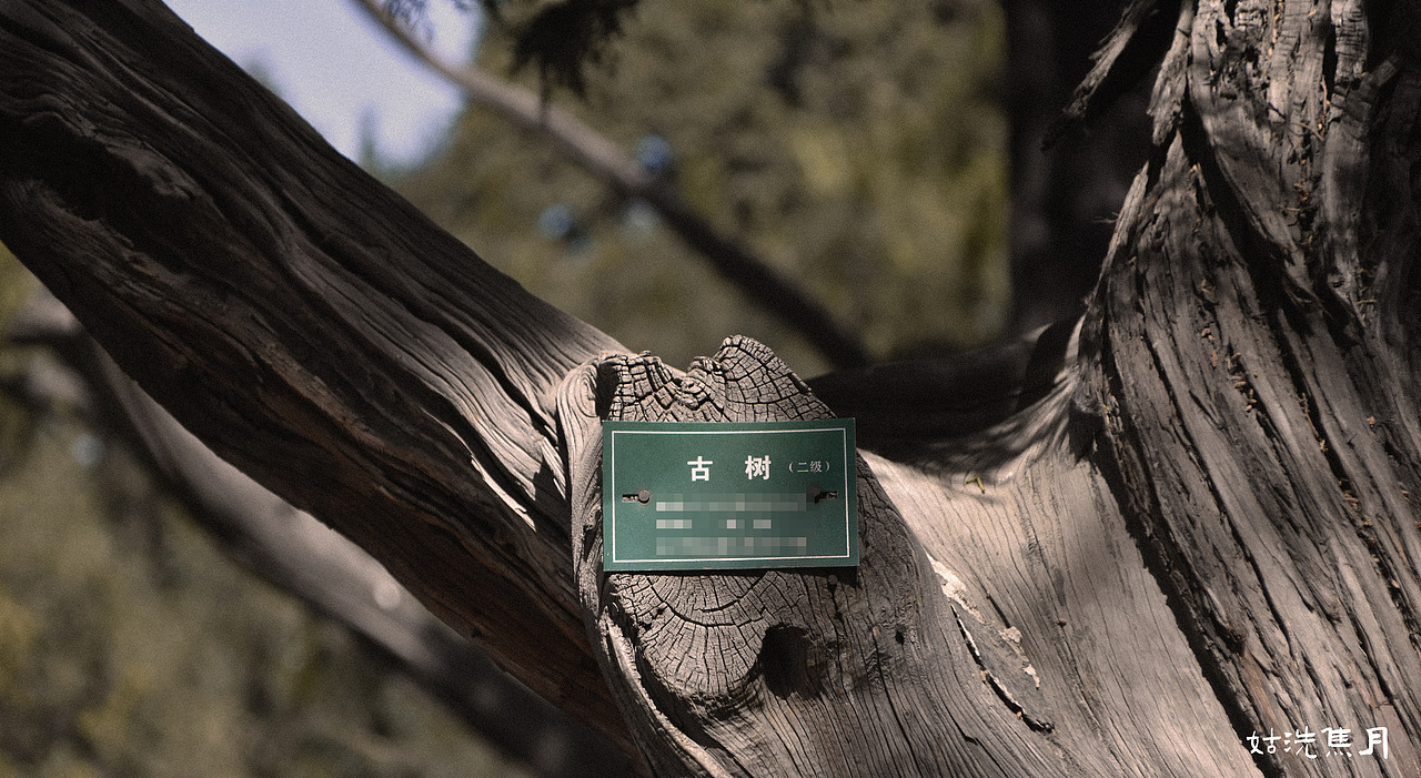 细节 · 故宫 the Imperial Palace（图ZMjEwMzgzMDk2） - 风光摄影 - 站酷设计师猫适原创素材 - 站酷ZCOOL