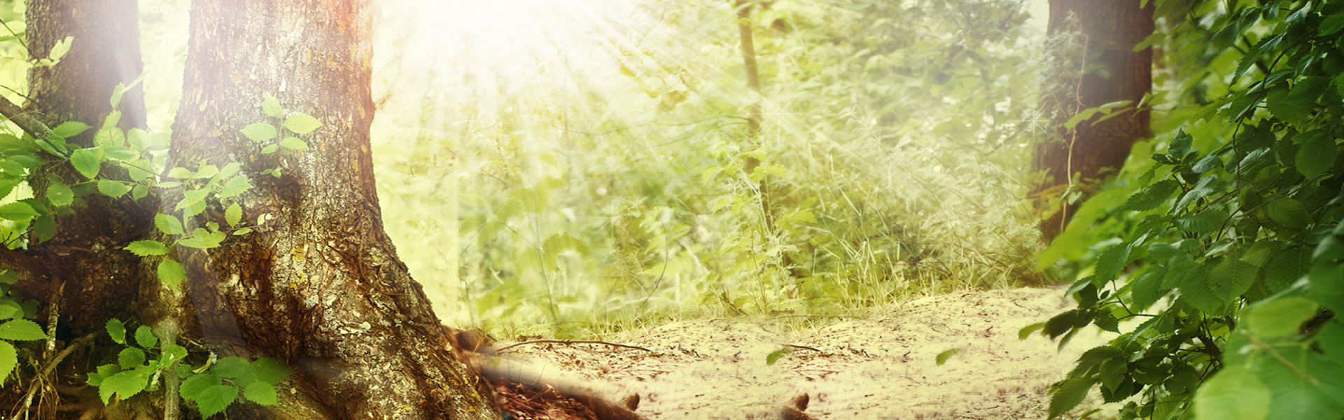 麻衣的小窝的个人主页（封面预览） - 主页封面设置 - 站酷设计师麻衣的小窝原创素材 - 站酷ZCOOL