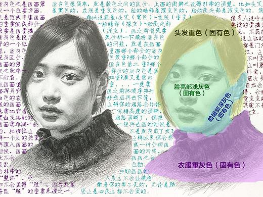 素描头像-关于固有色的深刻剖析（第2篇/共9篇）