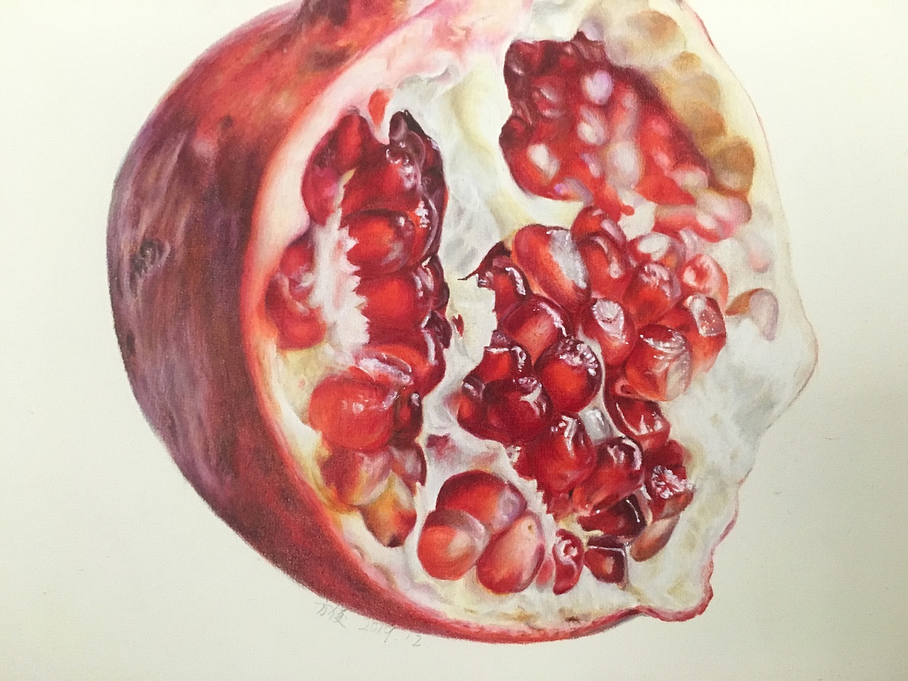 彩铅画【石榴】（图ZMTkxNjY0MDMy） - 绘画 - 站酷设计师龚方俊手绘原创素材 - 站酷ZCOOL