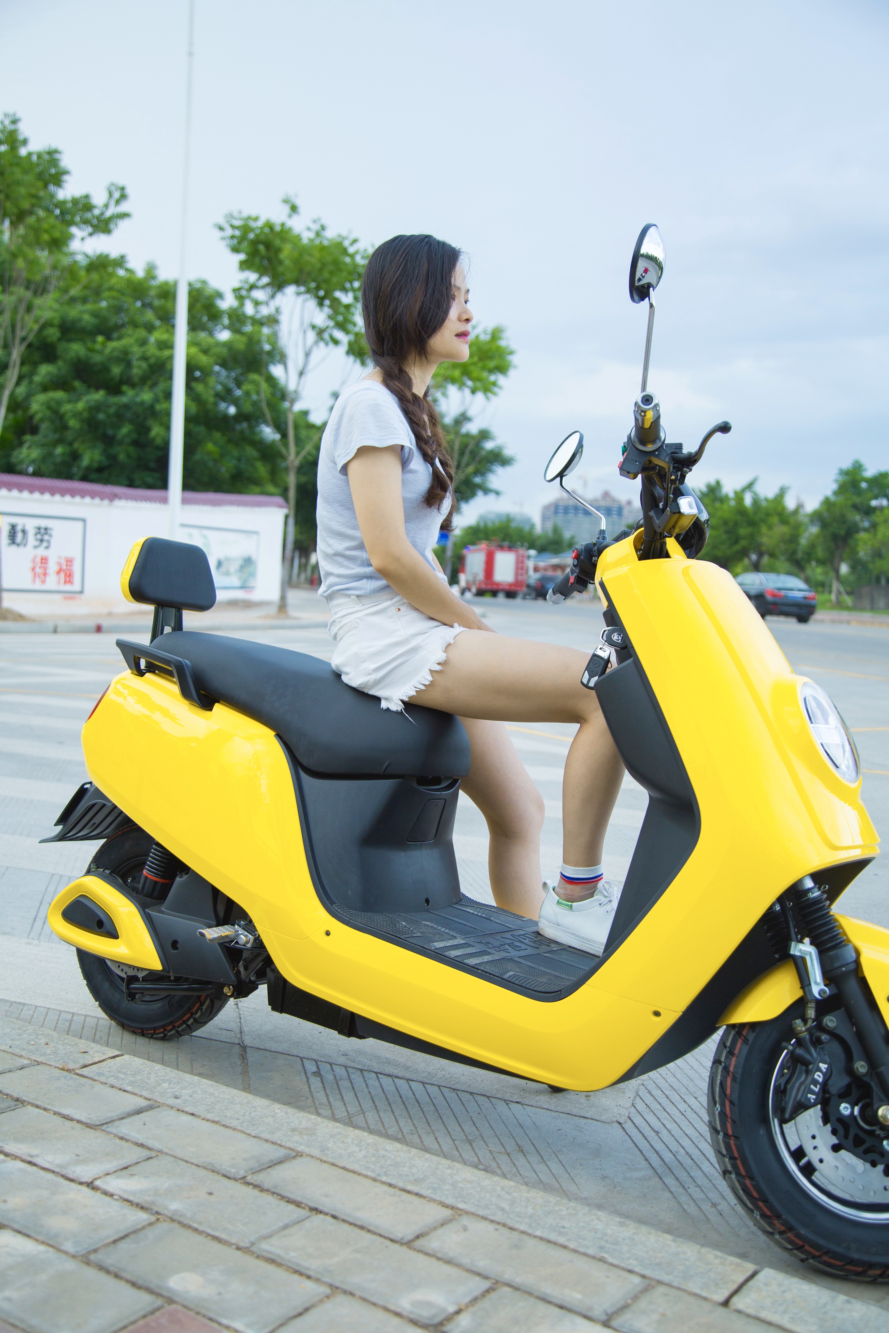 夏初,小黄车盛行.