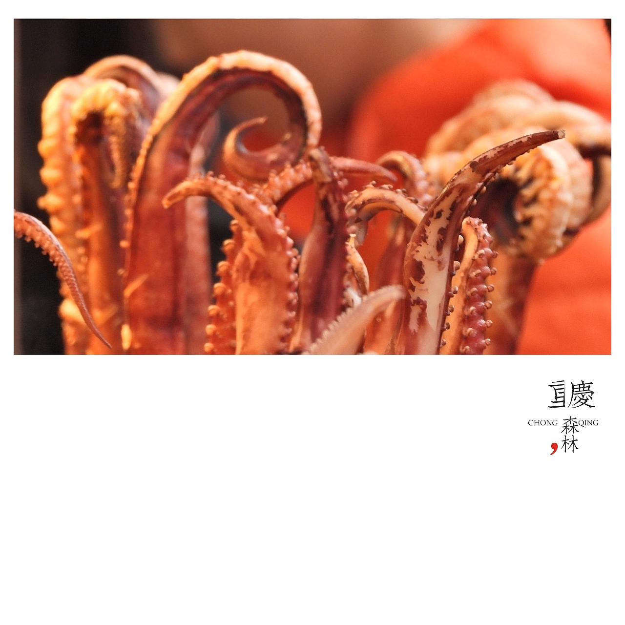 川渝行（图ZMTM1NjY3OTAw） - 人文/纪实摄影 - 站酷设计师SepetCat单眼皮猫原创素材 - 站酷ZCOOL