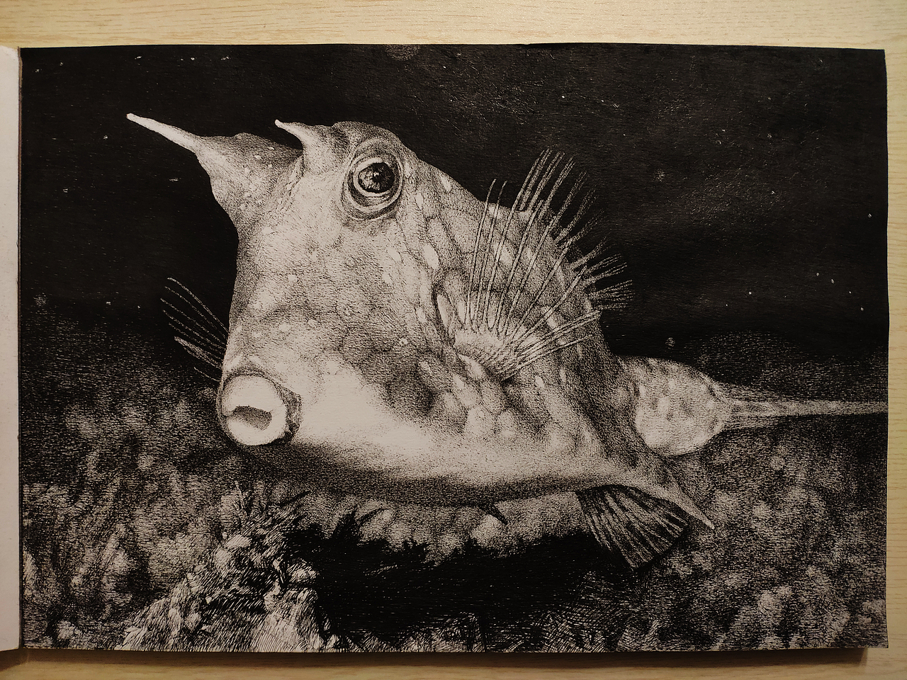 动物-写实精细绘画