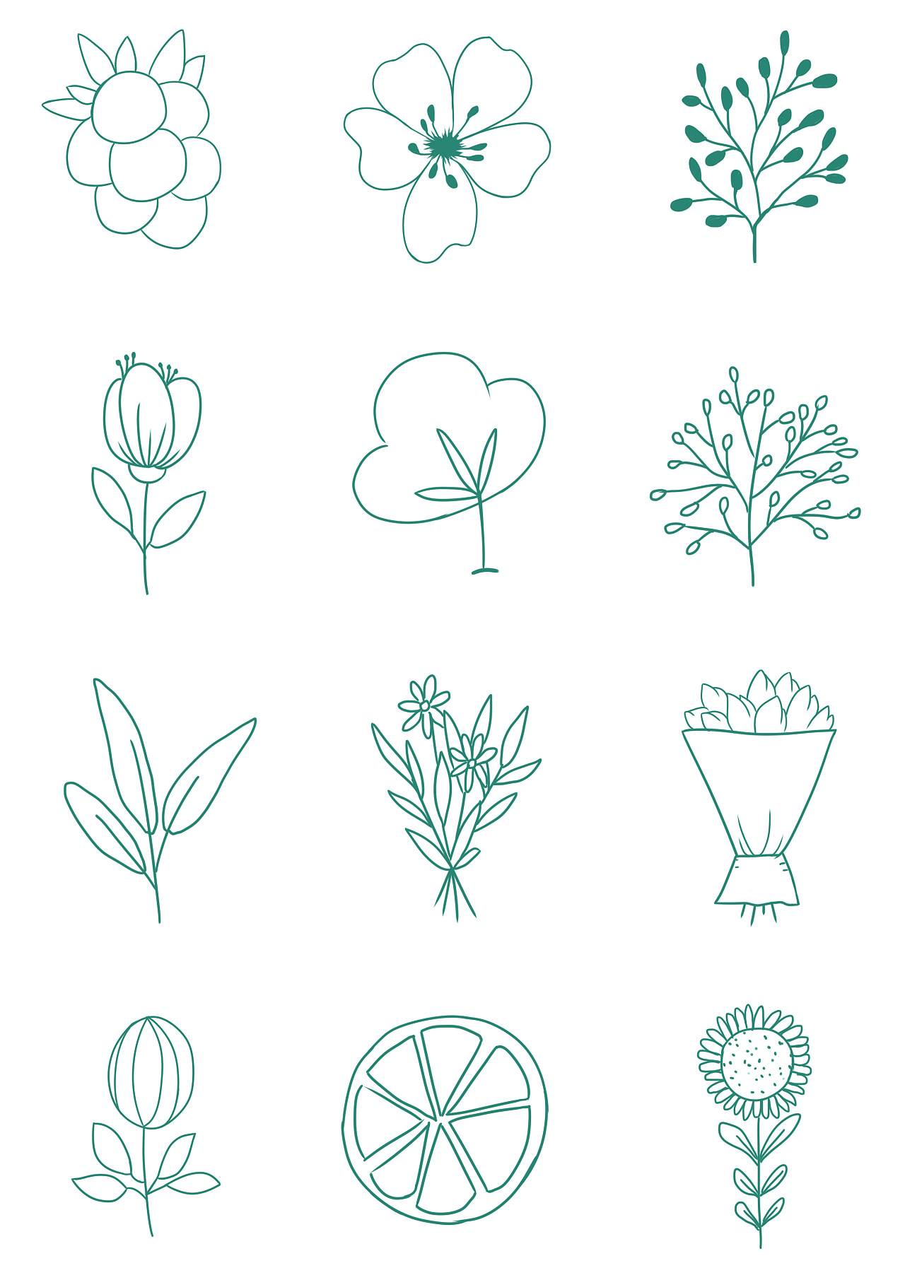 线描植物写生素材免费下载(图片编号:841878)-六图网