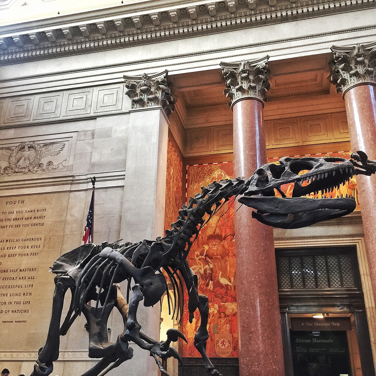 NEWYORK｜纽约手机记录