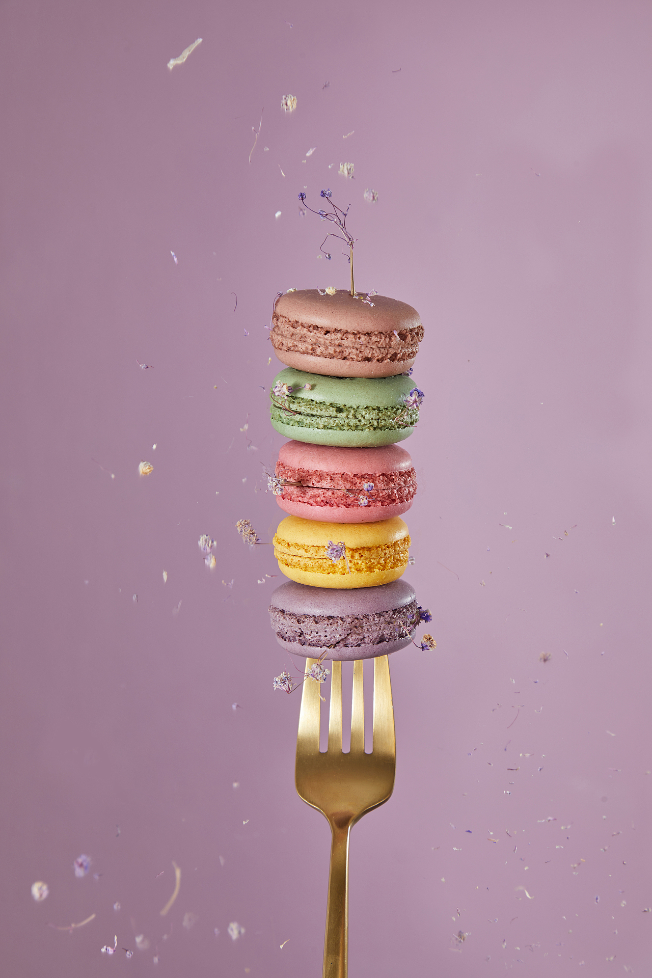 深圳产品广告美食摄影|马卡龙