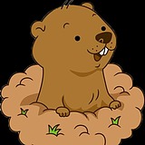 欢乐土拨鼠的头像