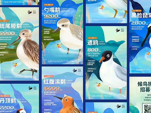 #地球守卫者#候鸟公益科普插画-红树林基金会